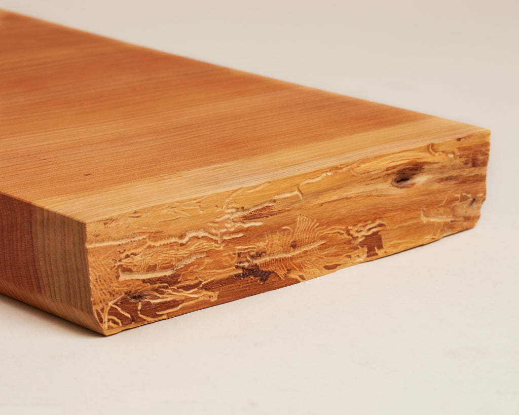 http://terasu.co/cdn/shop/products/product-cypress-cutting-board-2_1024x1024.jpg?v=1531417734